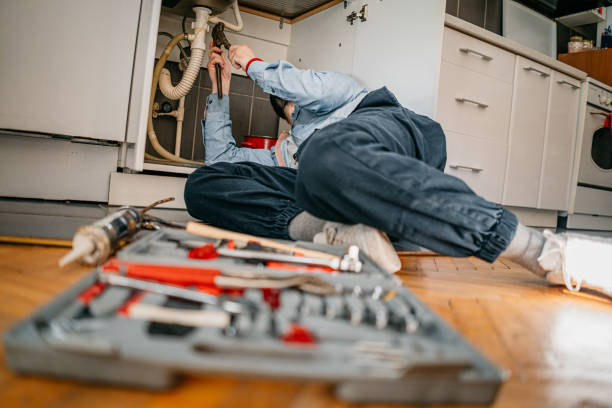 Best Sprinkler Systems  in Shakopee, MN